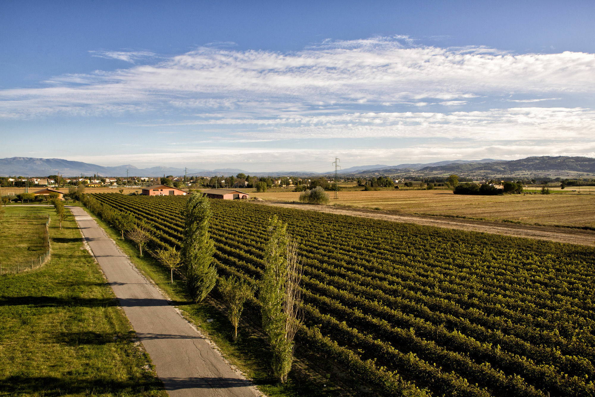 Valle Di Assisi Country Apartments Exterior photo